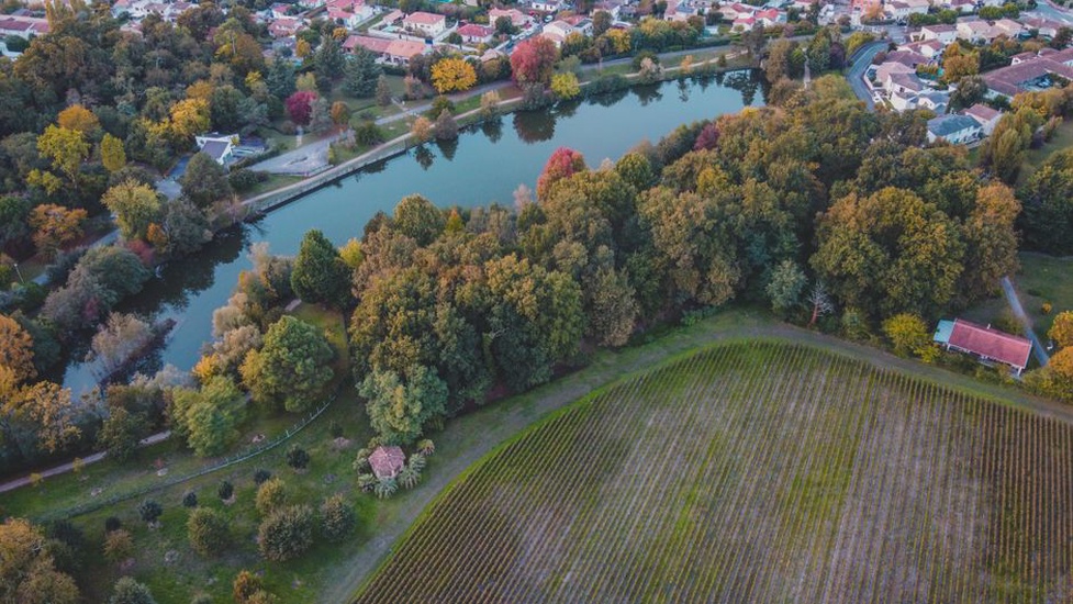 vignoble bordelais au coucher du soleil