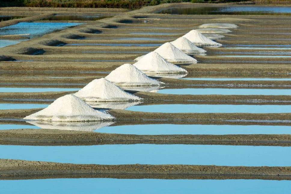 Un paludier récolte la fleur de sel à la surface d’un œillet
