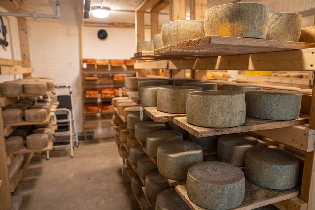 Meules de tomme en cours d’affinage