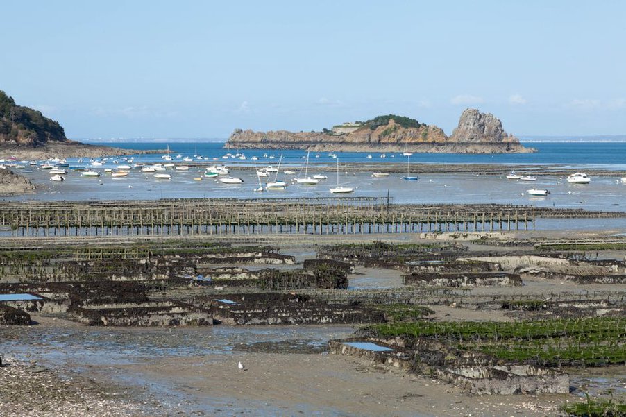 Parcs ostréicoles découverts à marée basse près de Cancale