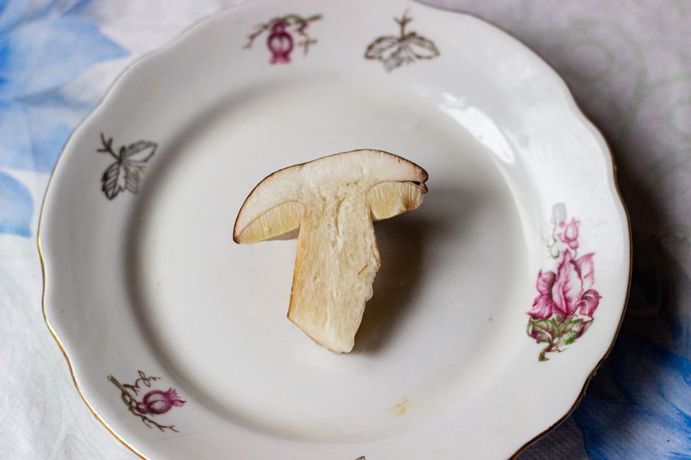 Tranches de terrine de gibier sur une assiette en grès